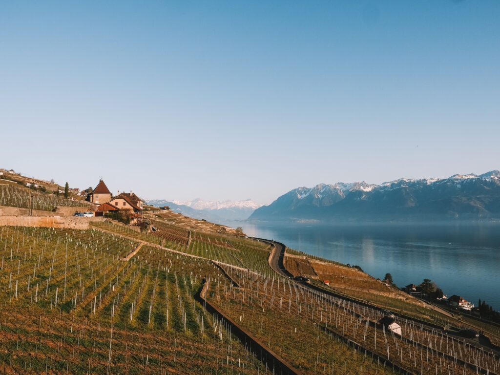 Scenic view of vineyards by Lake Geneva with mountains in the background in Switzerland.